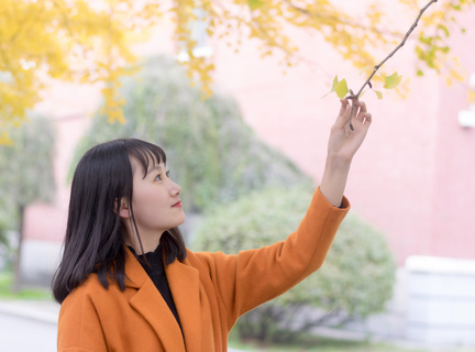 菲律宾常年报告需要知道哪些东西，线下申请年度报告的步骤有哪些？